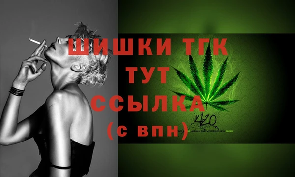 дживик Лагань